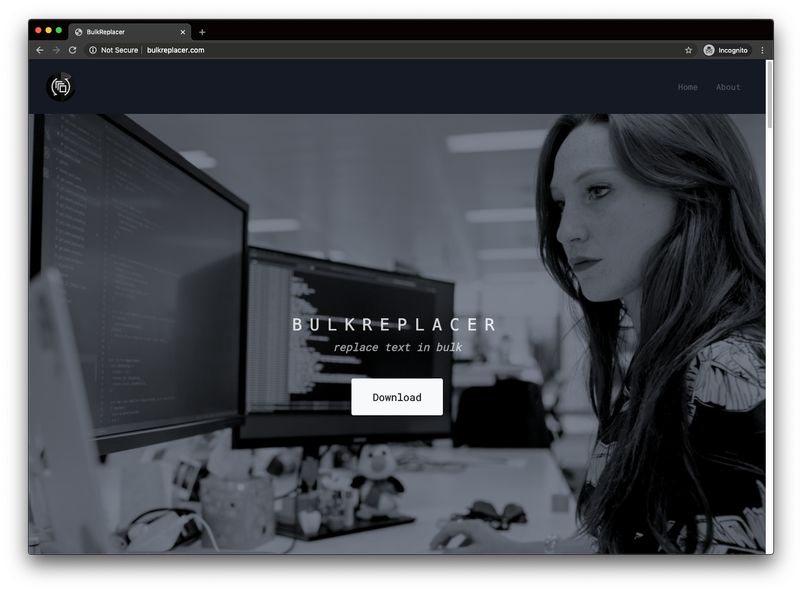 BulkReplacer gallery image