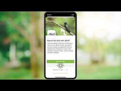 Merlin Bird ID gallery image