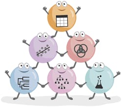 Orange gallery image