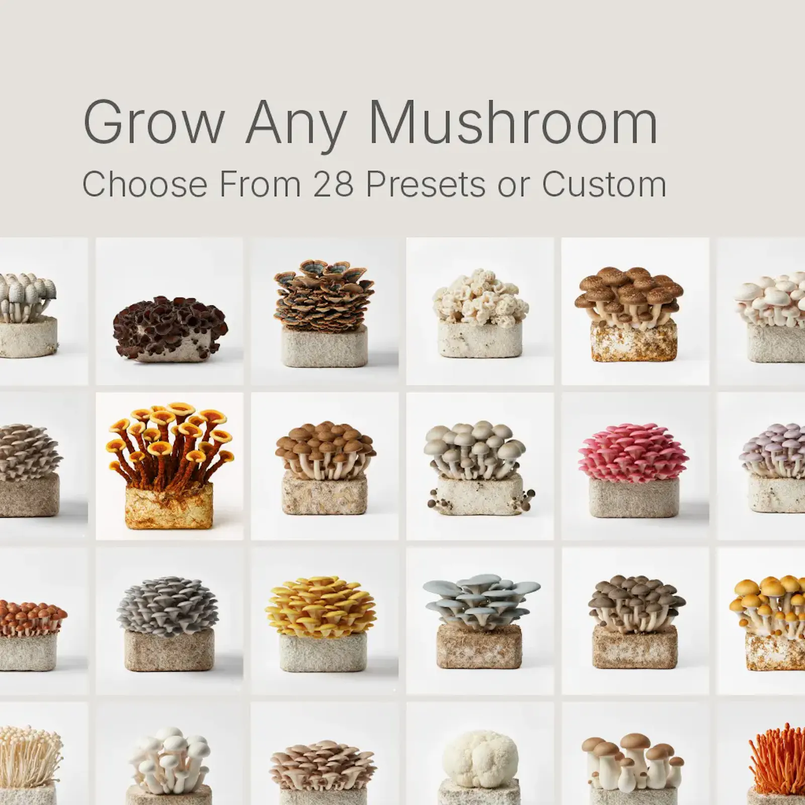 Lykyn Smart Mushroom Grow Box screenshot 13
