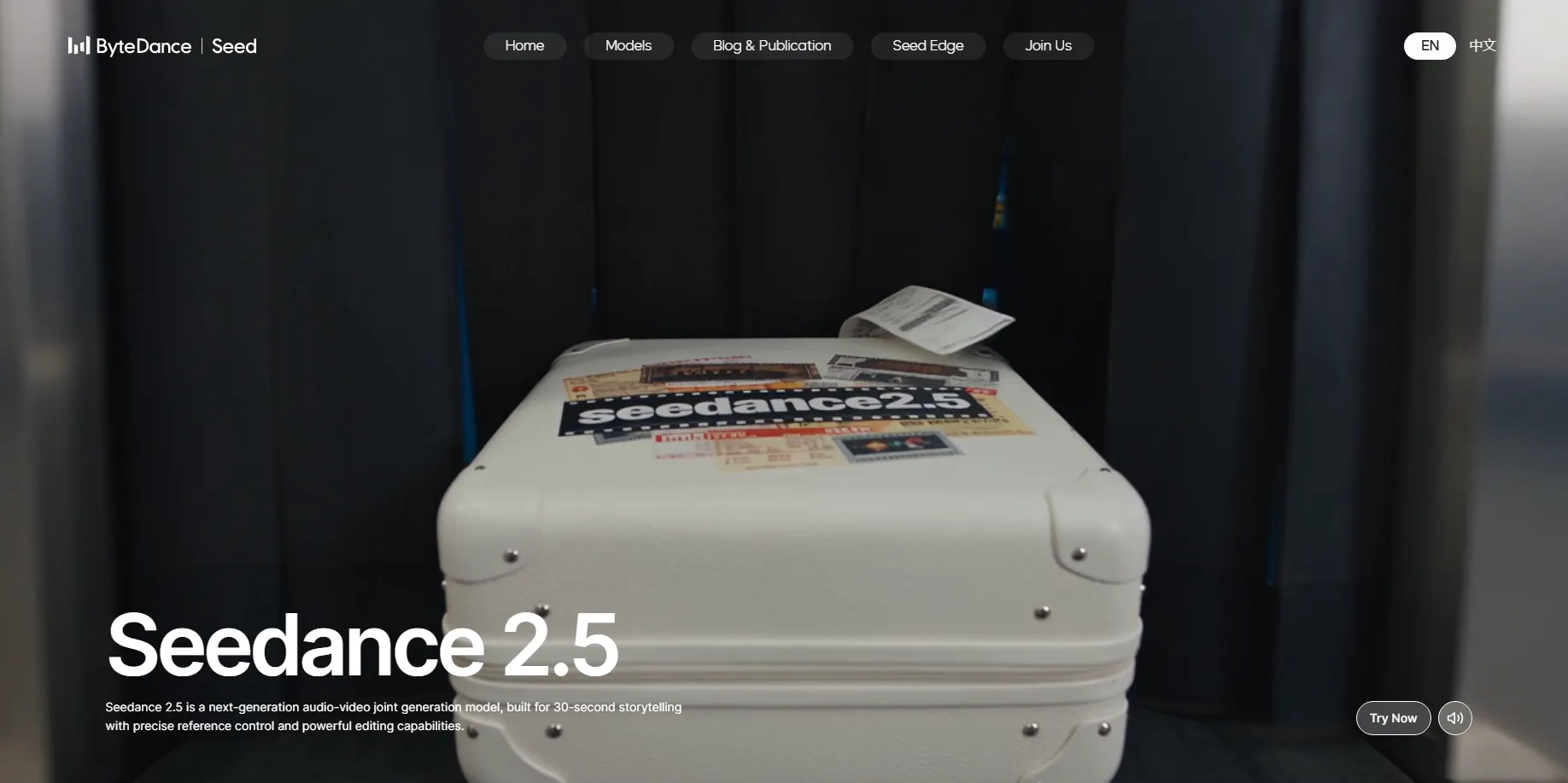 Seedance 2.5 screenshot 1