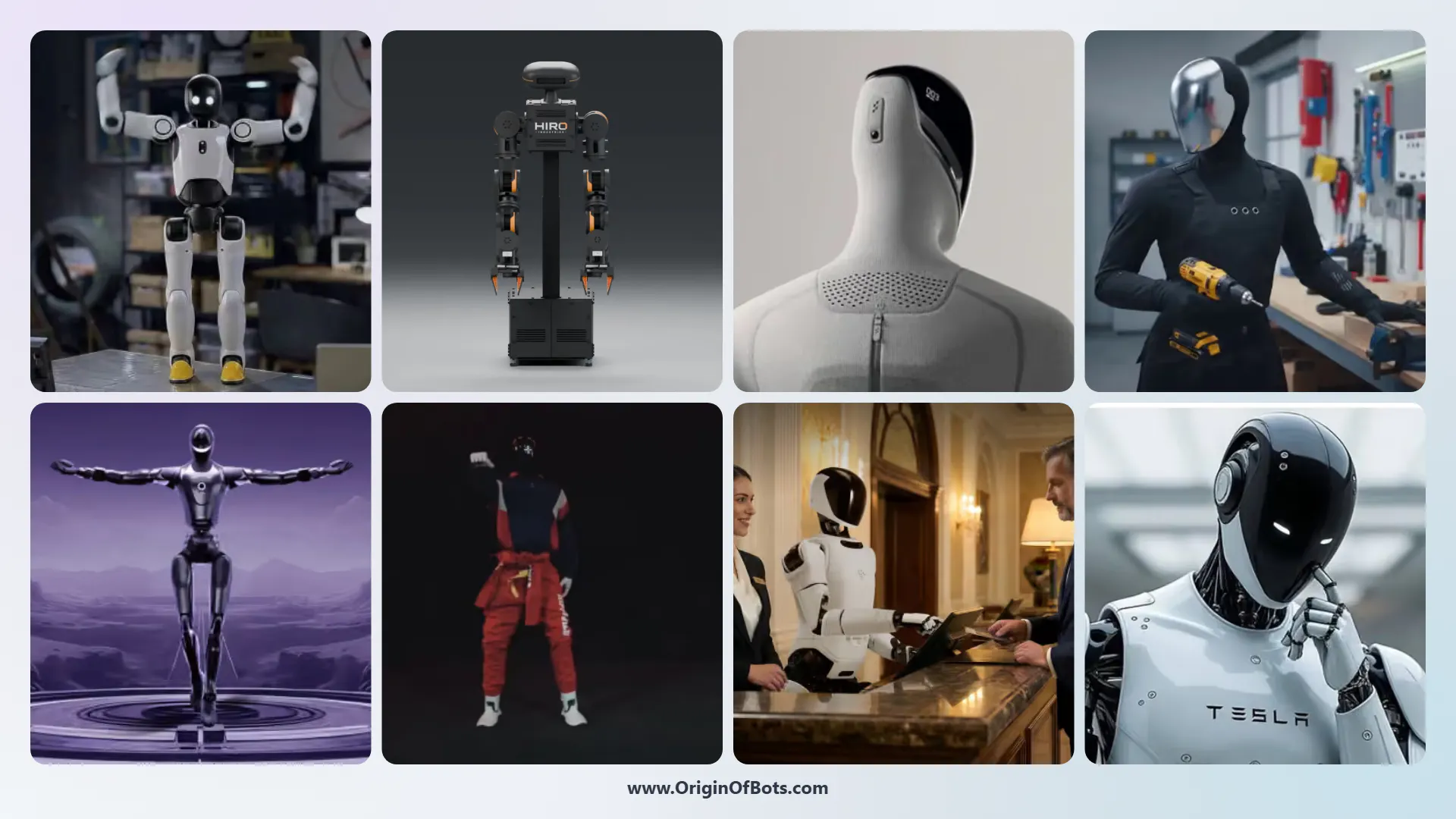 Origin of Bots gallery image