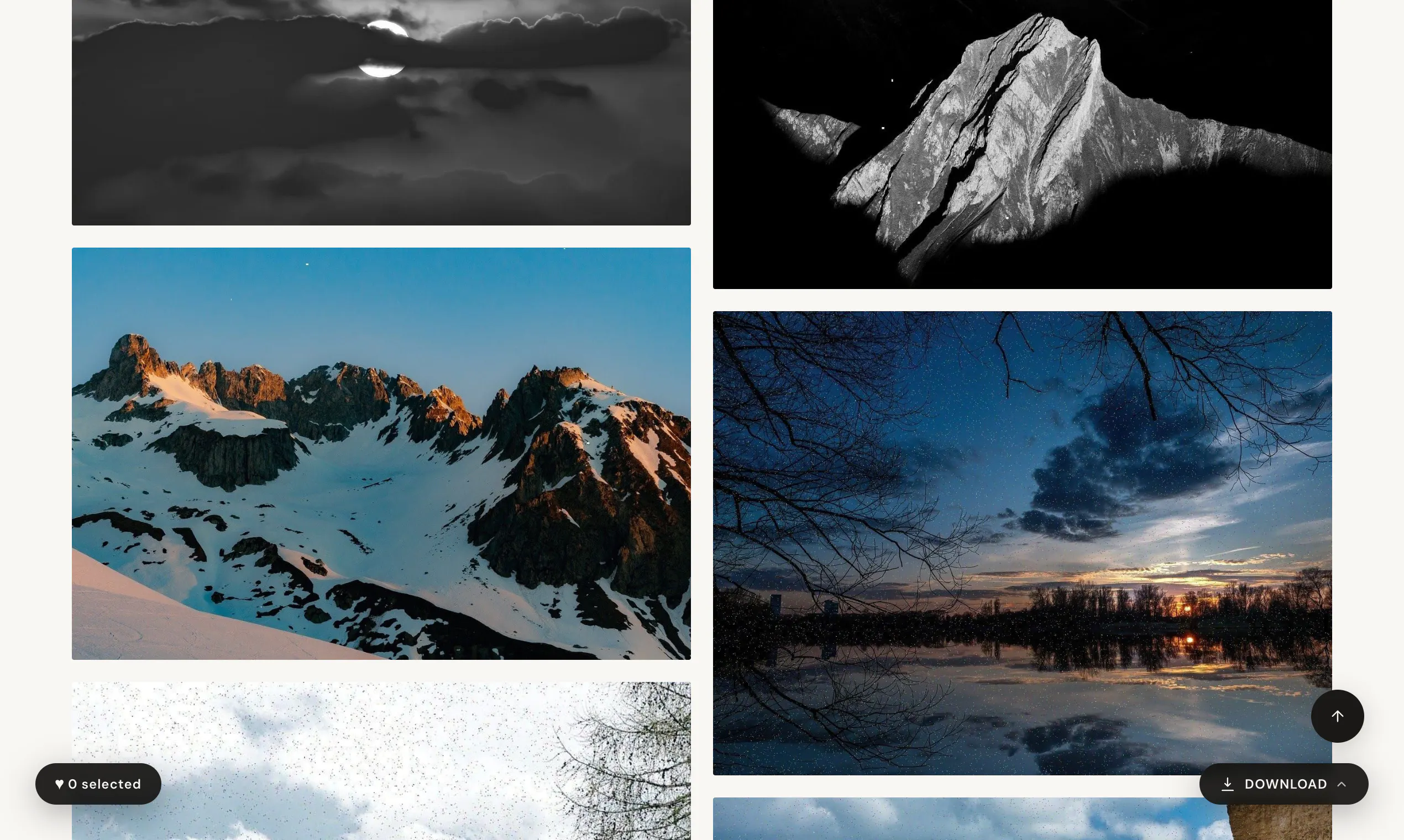 Gallry gallery image