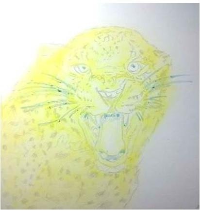 Mendon Cottage Books gallery image