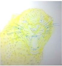 Mendon Cottage Books gallery image