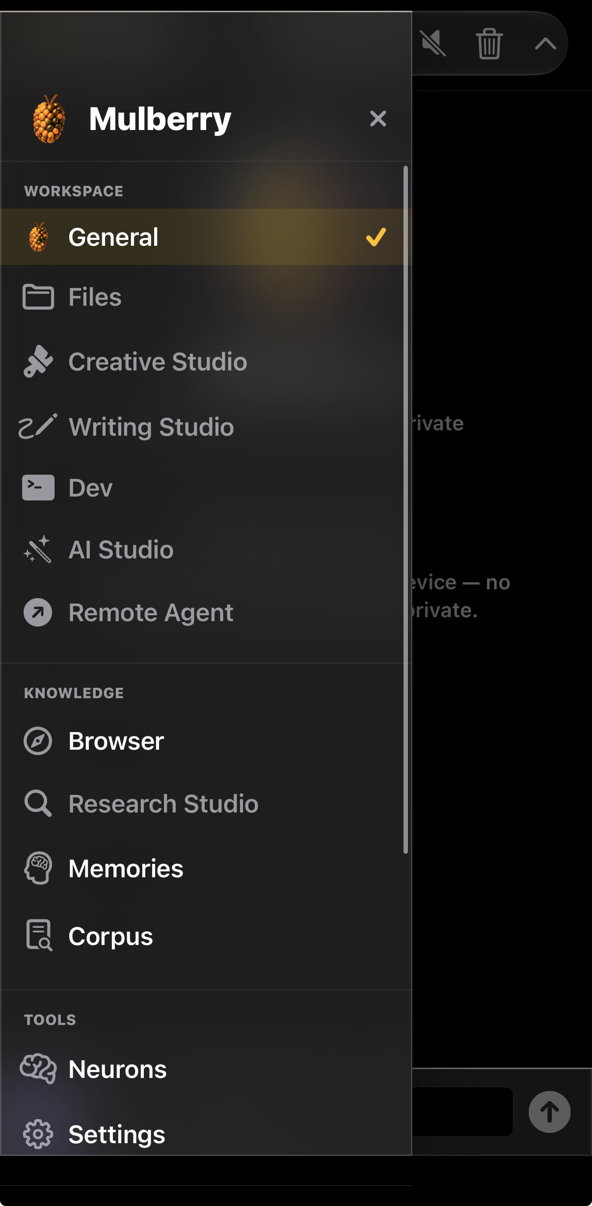 Mulberry AI Studio  gallery image