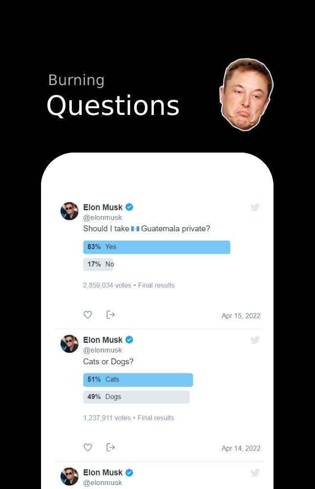 Elon's Shenanigans gallery image