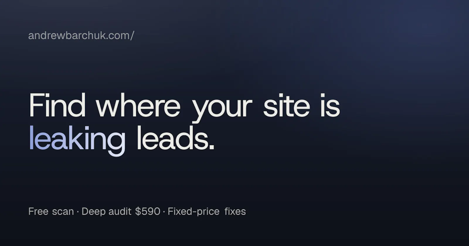 Website Leak Scanner screenshot 1