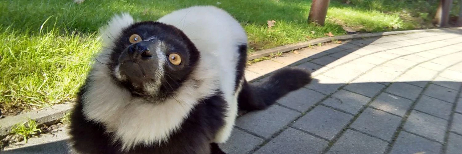 Christopher Blum cover