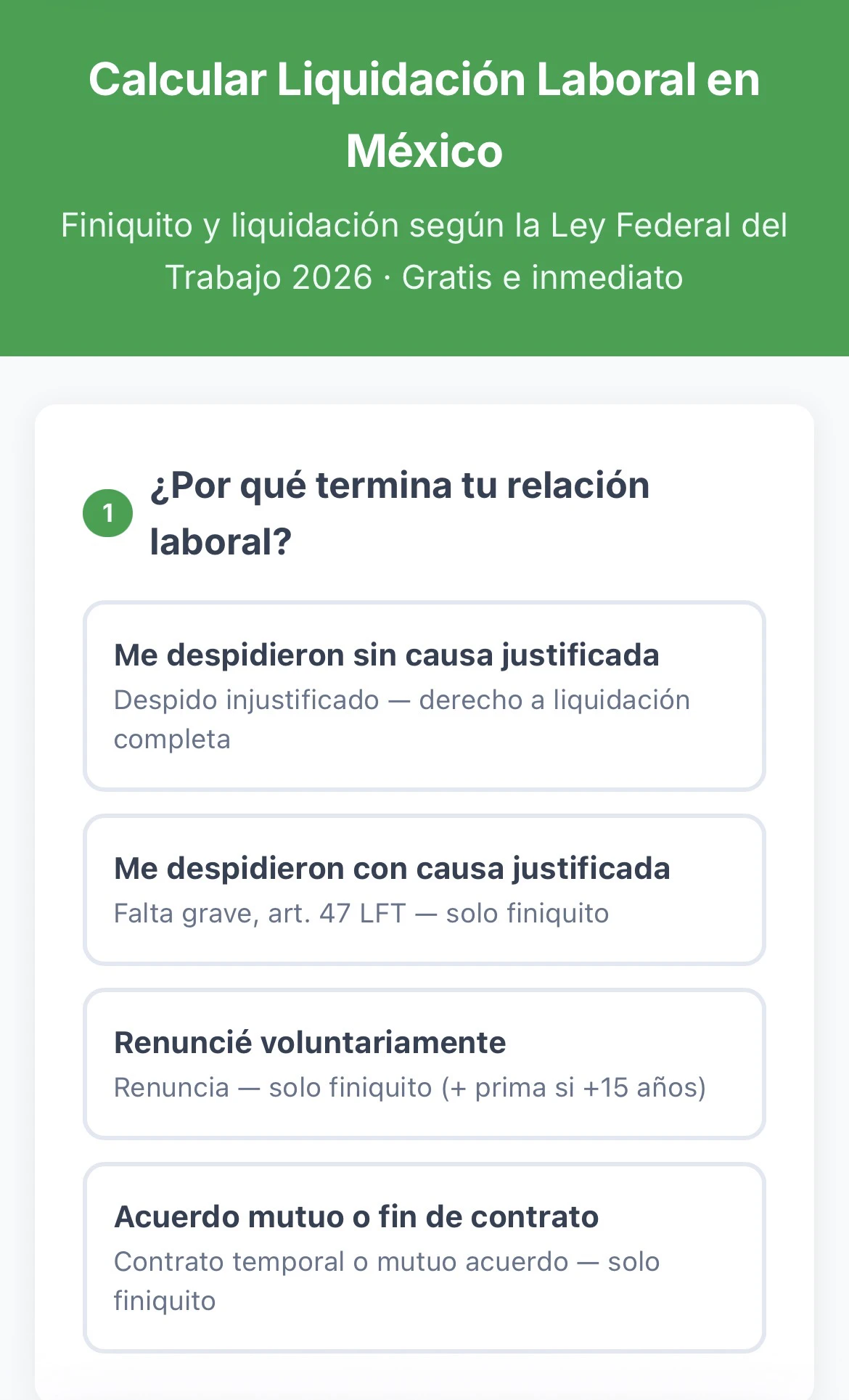 Calcular Liquidacion  Mexico Severance 대표 미리보기
