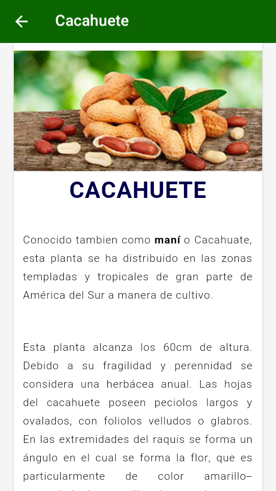 Medicina Natural gallery image