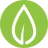dropleaf
