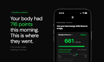 Supernormal gallery image