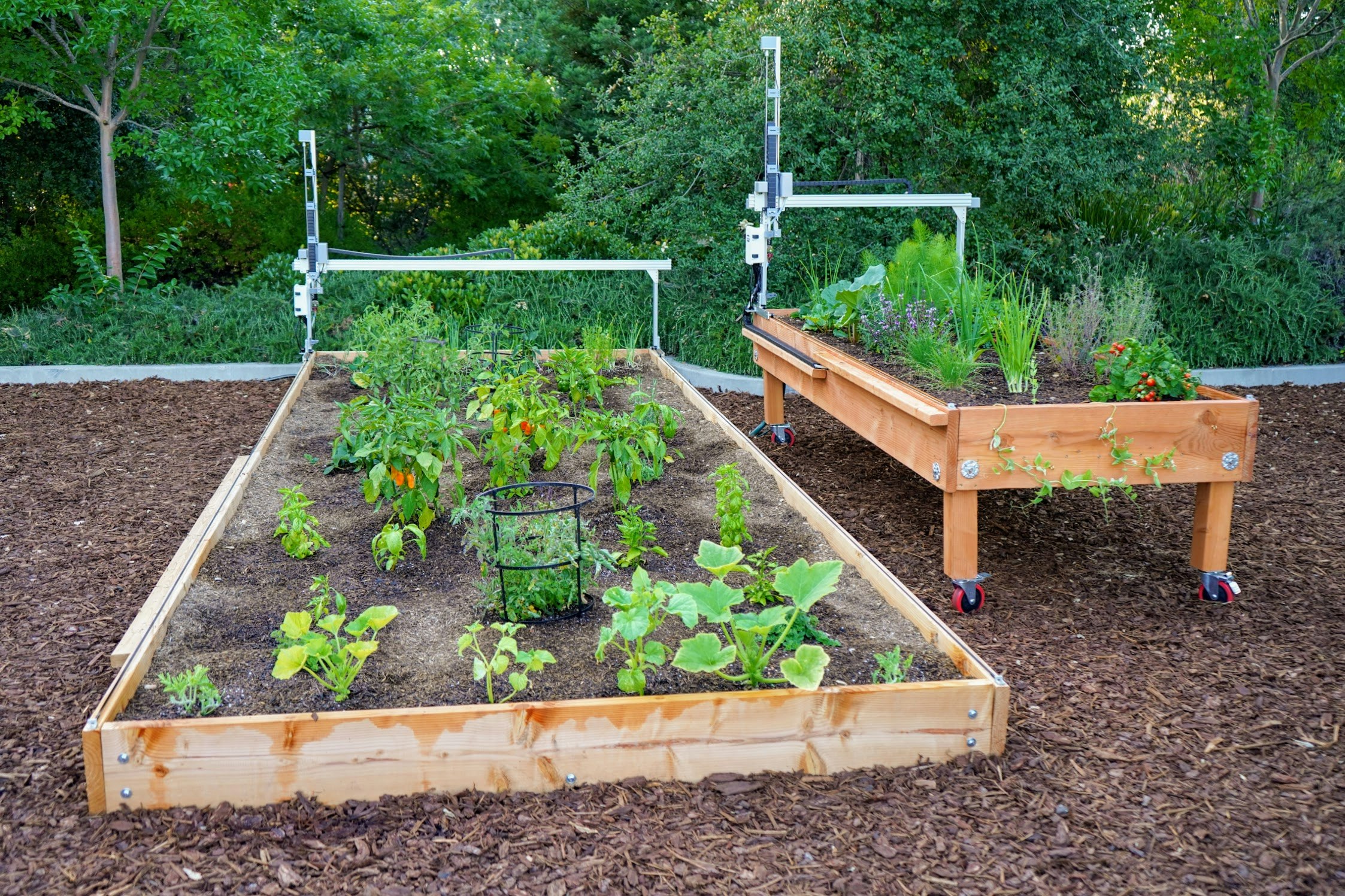 FarmBot Express and Express XL gallery image