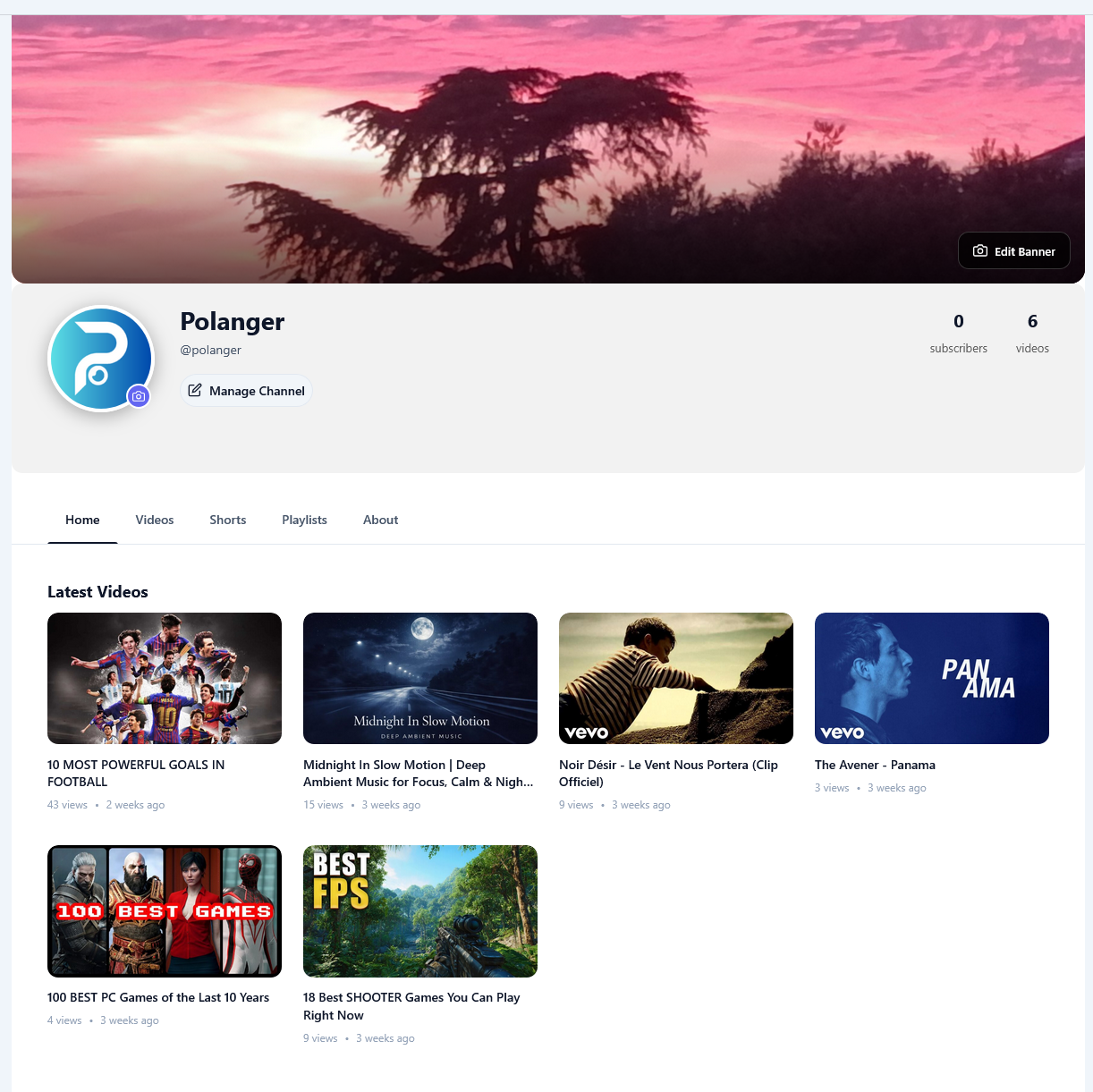 Polanger VideoHub for WordPress gallery image