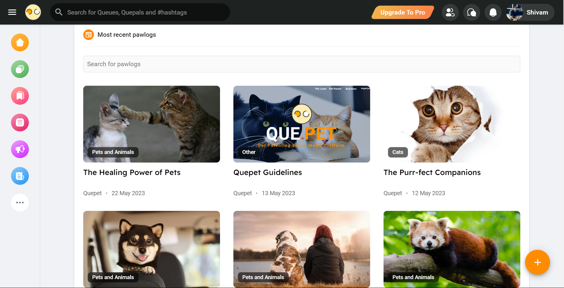 Que.Pet - สังคม Pawsitively media 5