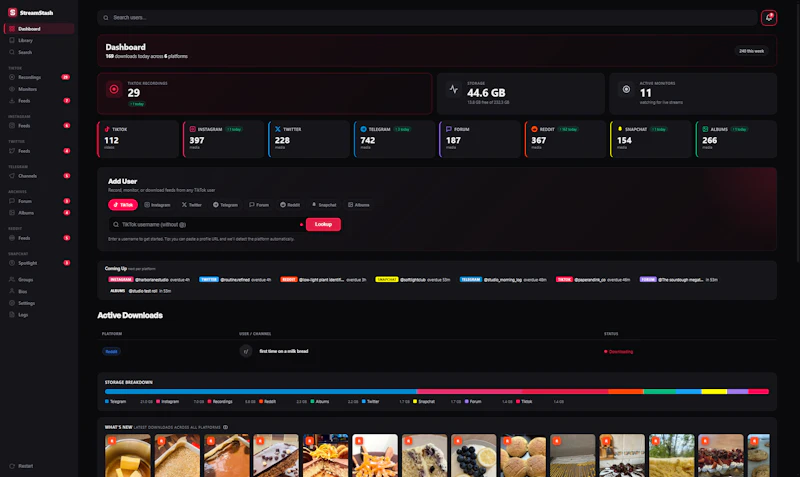 StreamStash screenshot 2