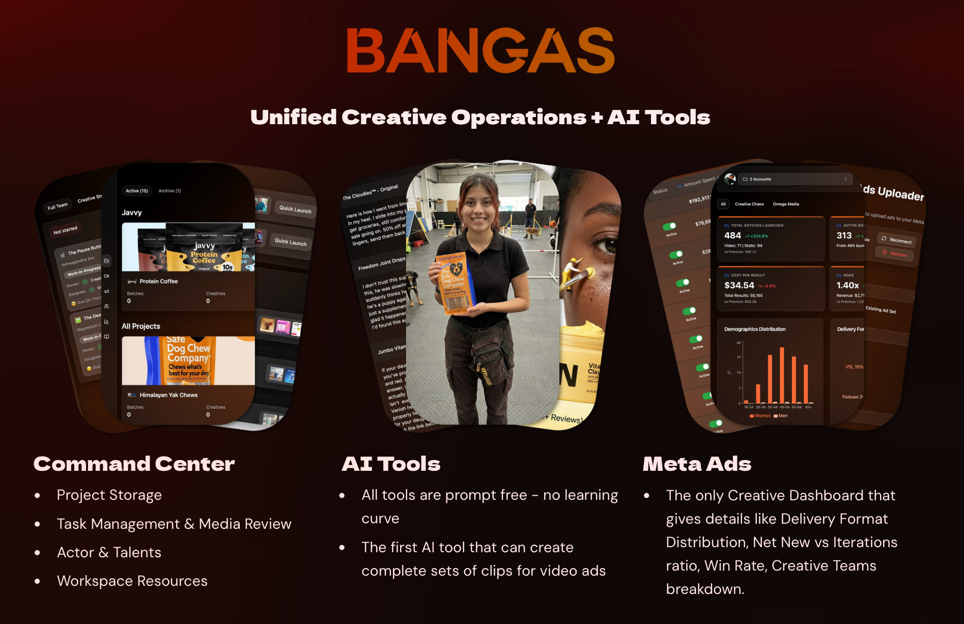 Bangas - Screenshot 2 showing product features and functionality
