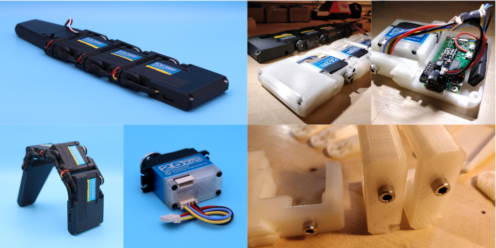 flatcat gallery image