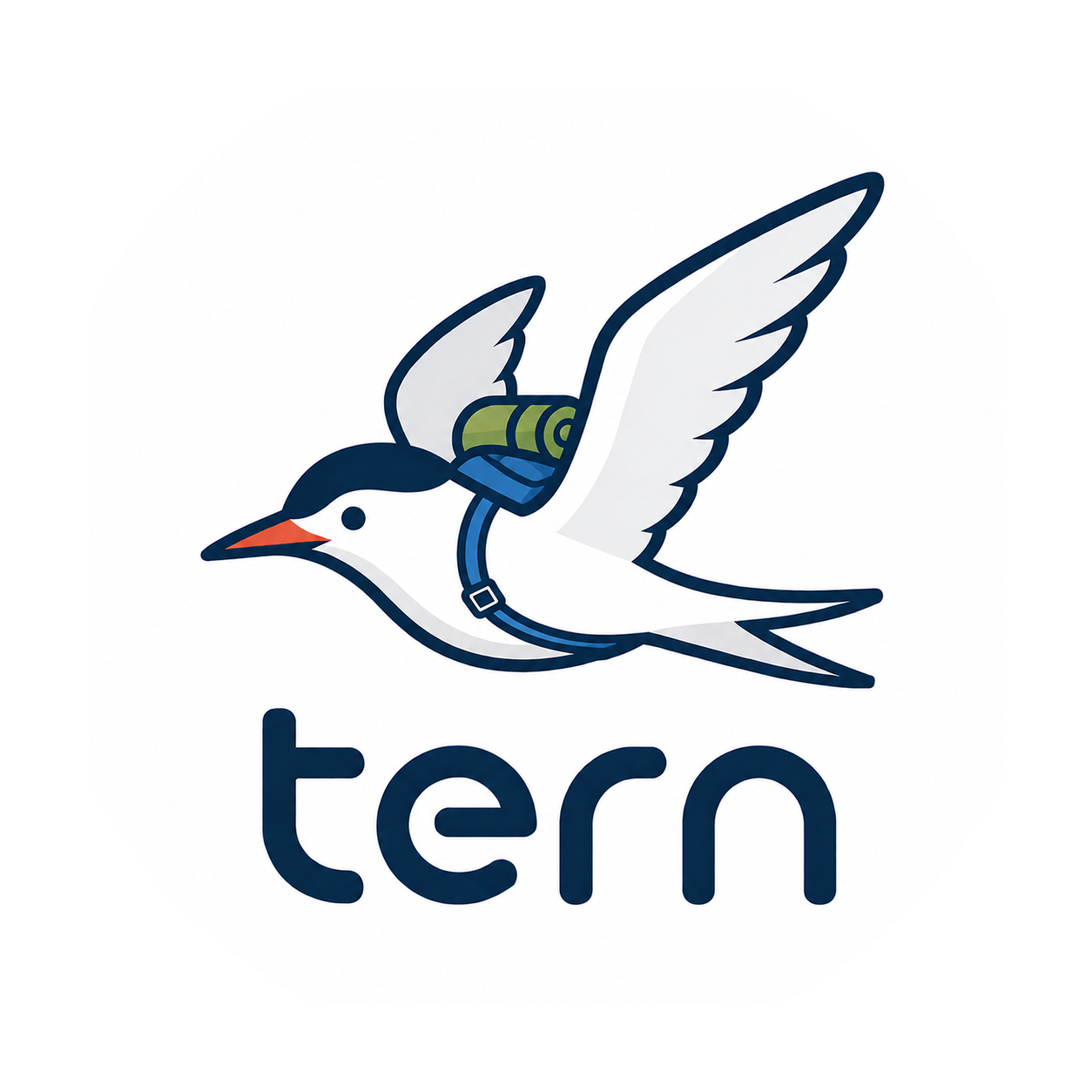 Tern gallery image