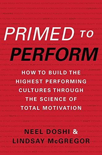 Primed to Perform: How to Build the Highest Performing Cultures Through the Science of Total Motivation gallery image