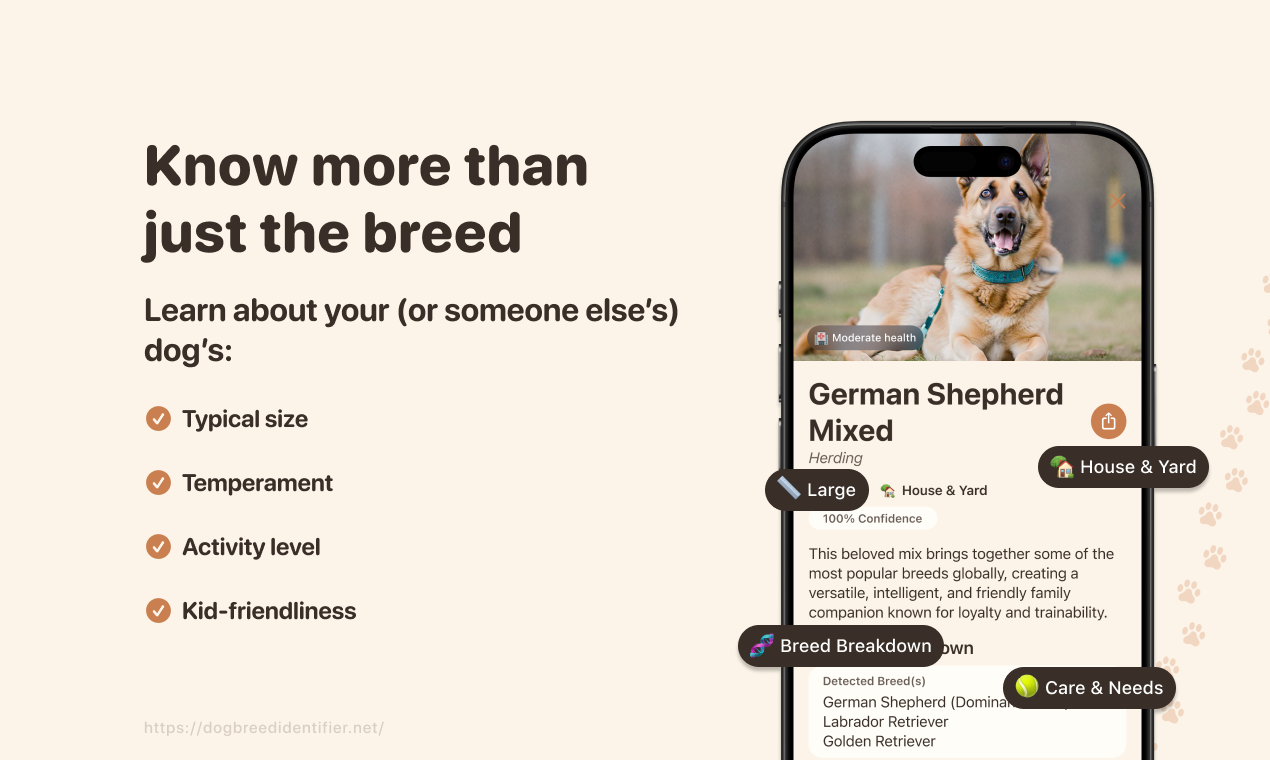 DogPic - Identify any dog breed instantly media 5