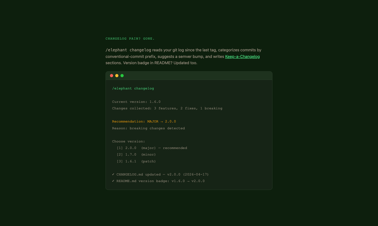 Elephant gallery image