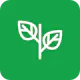 MemoryPlants