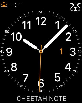 Cheetah Note - Watch & Widget Note gallery image