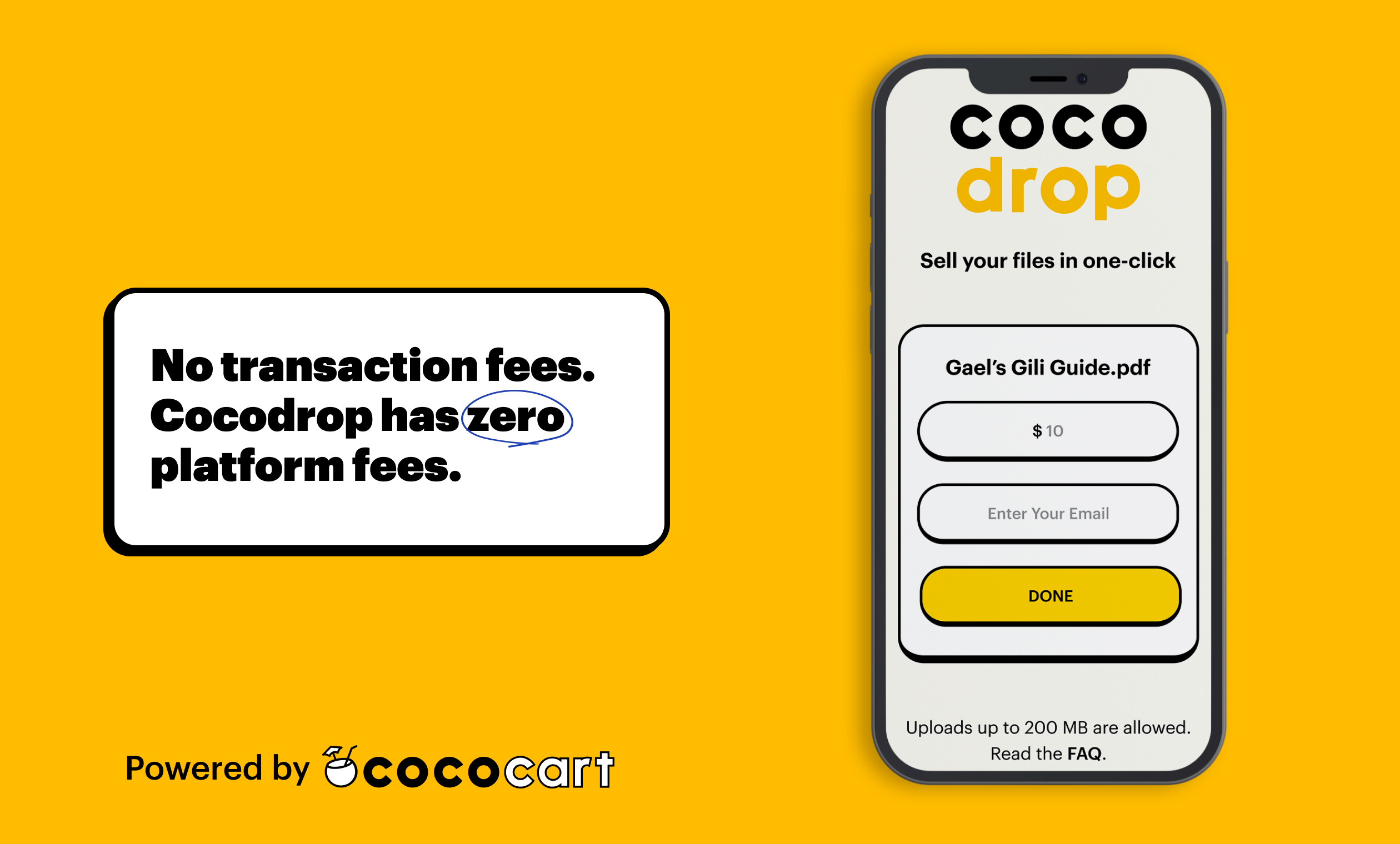 Cocodropa media 2