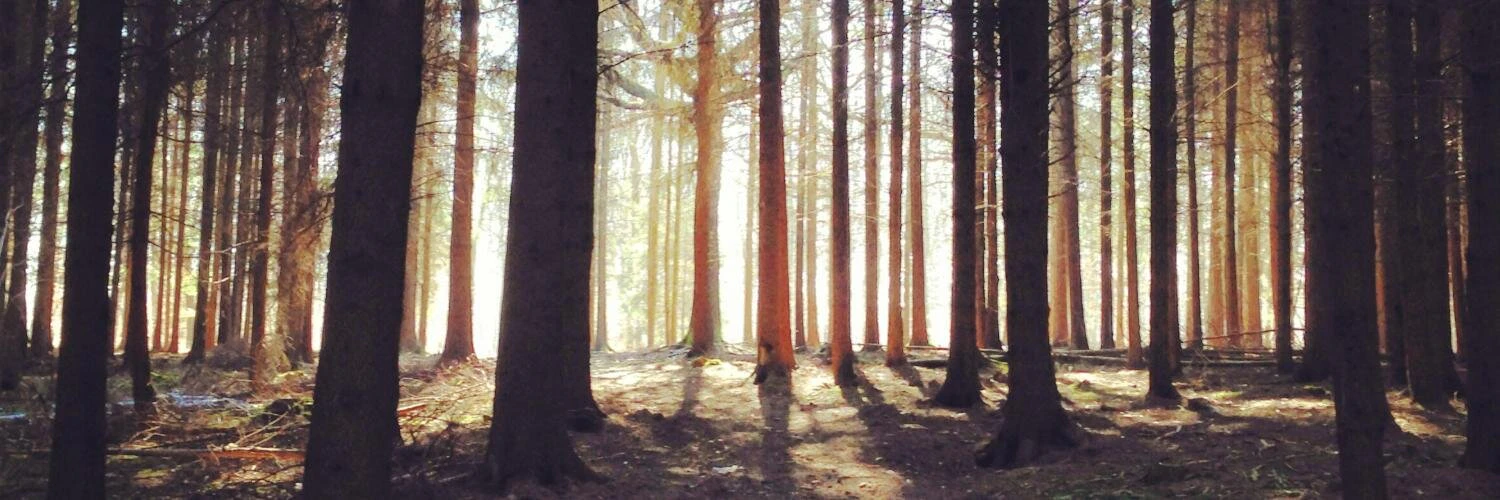 Matthieu Vaxelaire cover