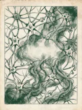 Clear Mind in 7 Steps gallery image