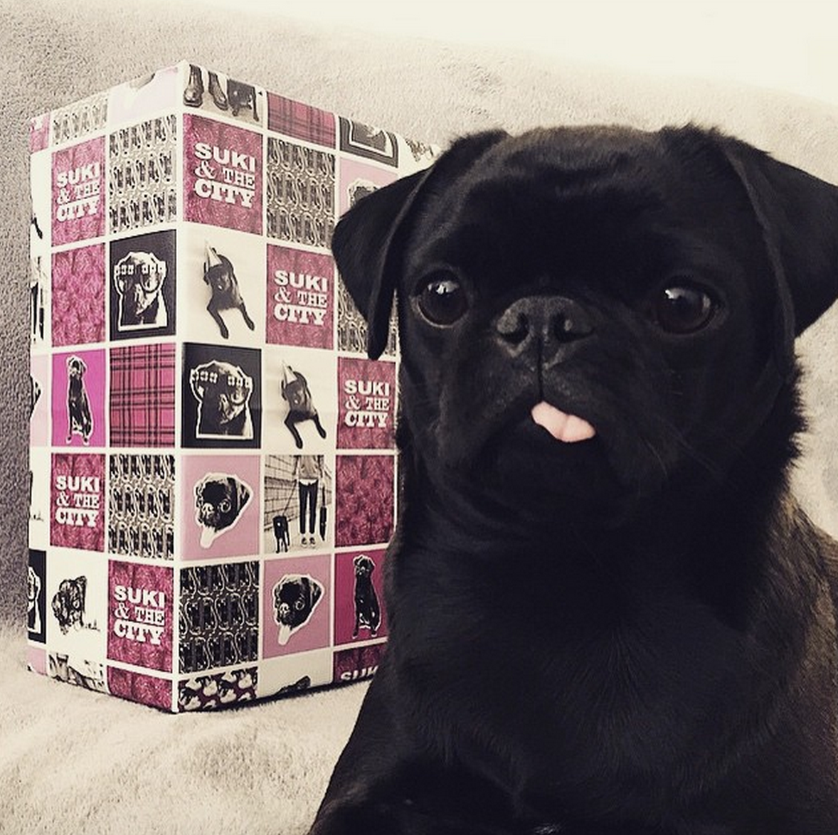 wrap.me gallery image