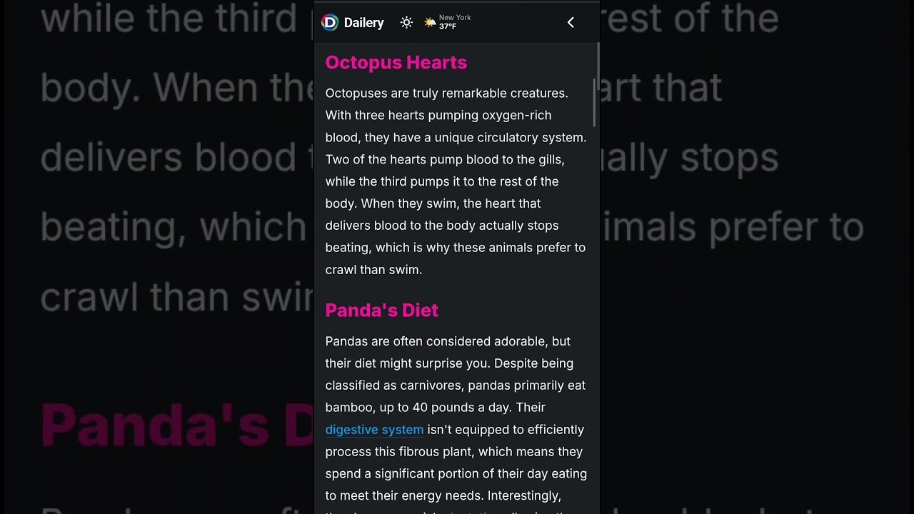 Dailery gallery image