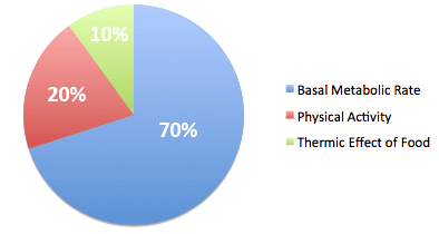 TDEE Calculator gallery image