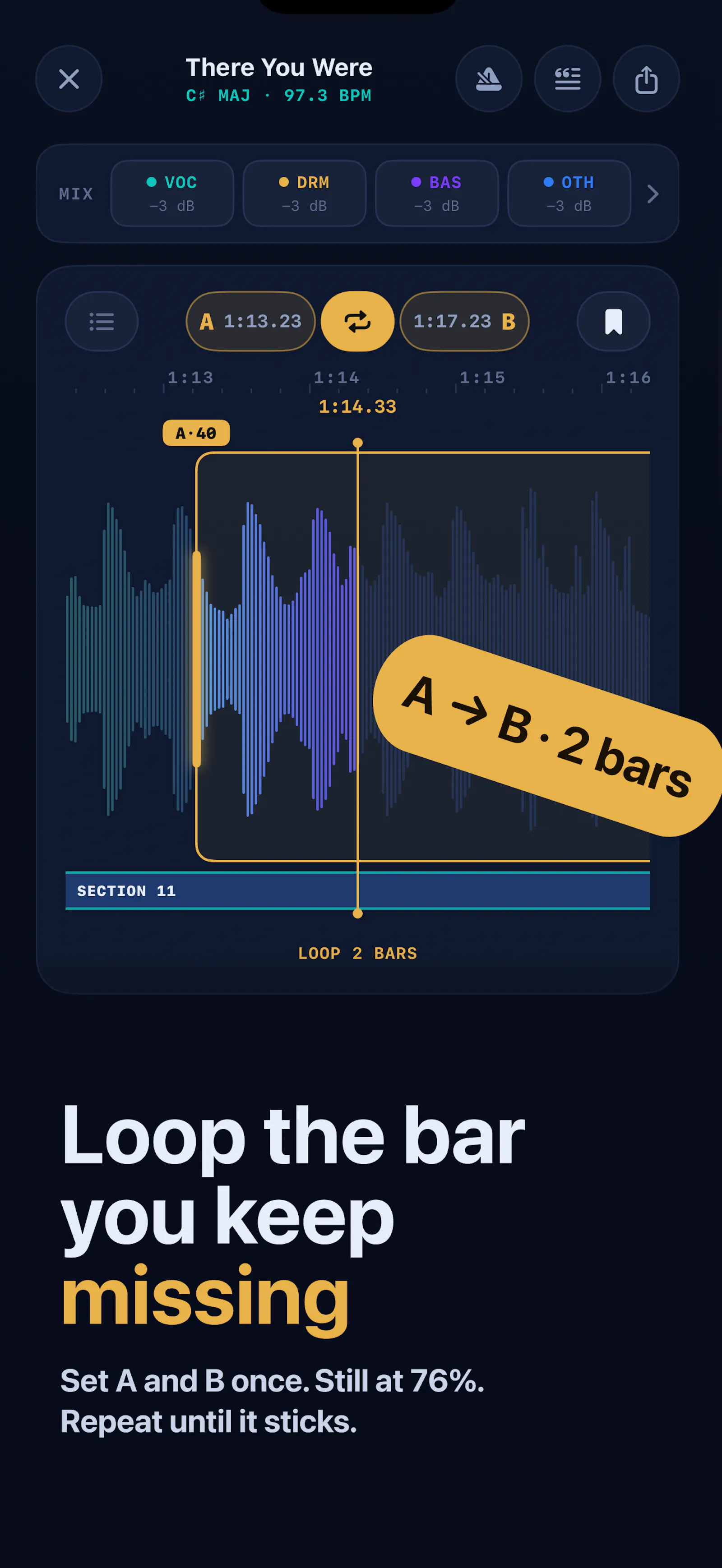 Song Practice AI screenshot 4