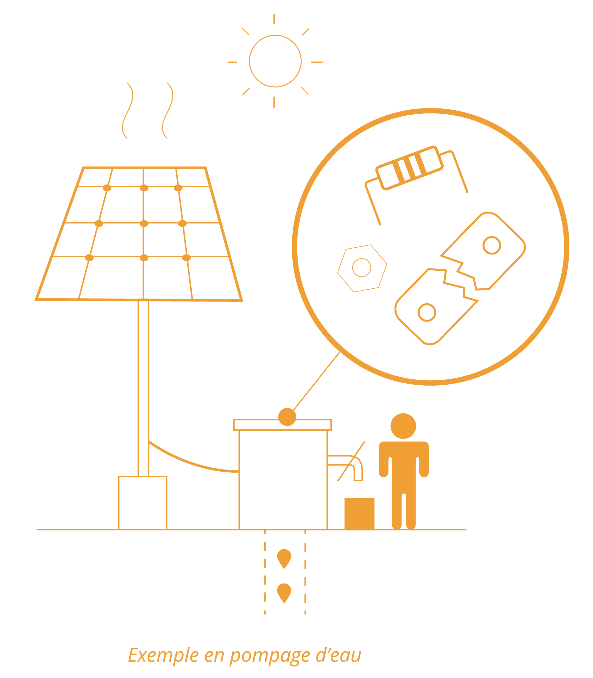 SAUREA gallery image