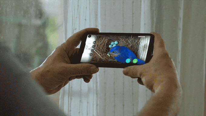Nido di uccelli - Una casa per uccelli intelligenti a doppia fotocamera media 5