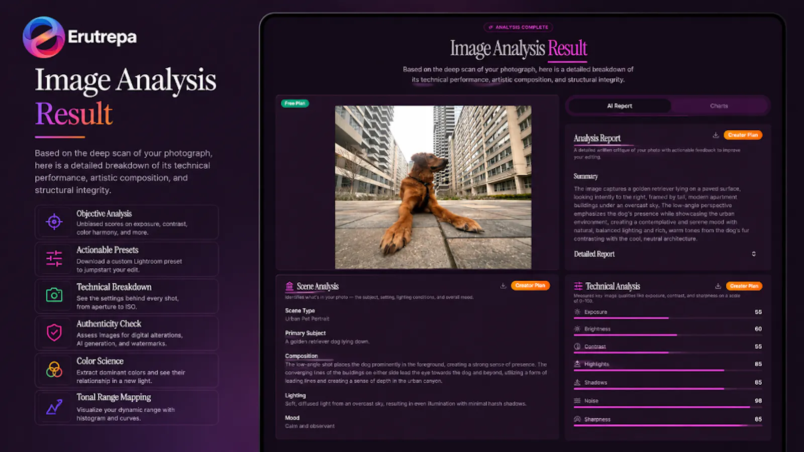 Erutrepa screenshot 2