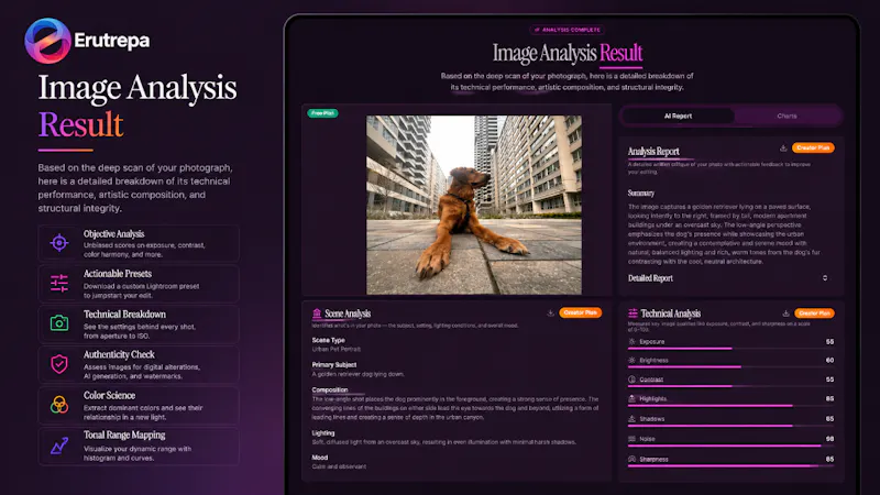 Erutrepa screenshot 2