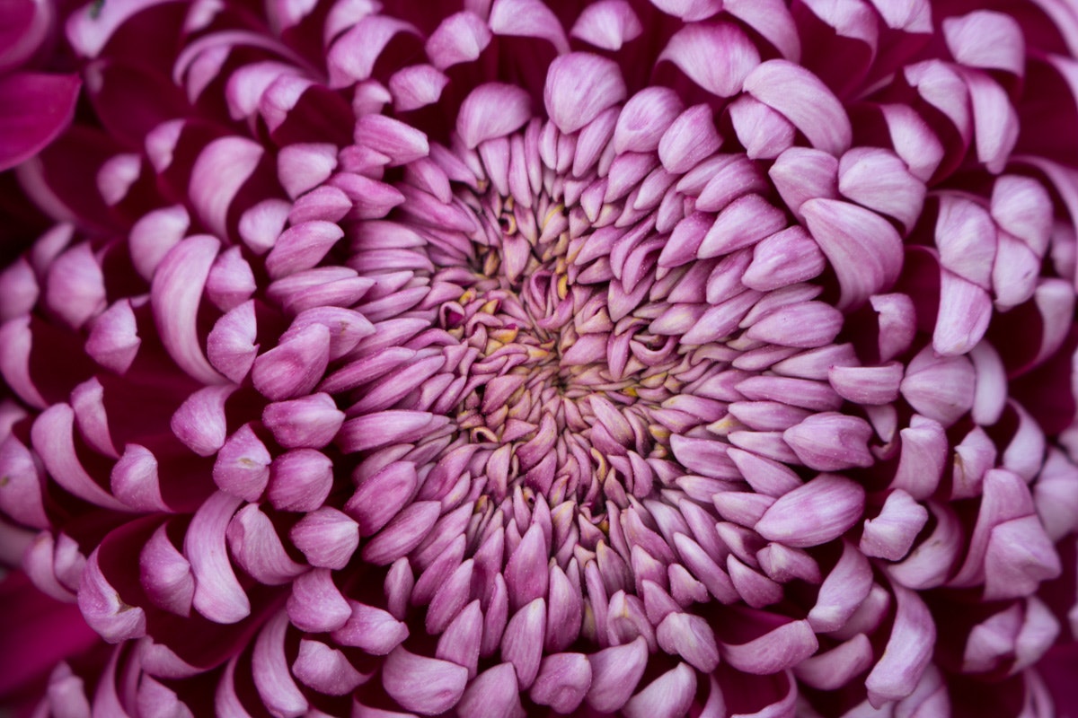 Realgraphy.org gallery image