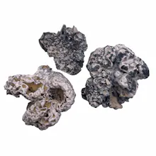 Enigma gallery image