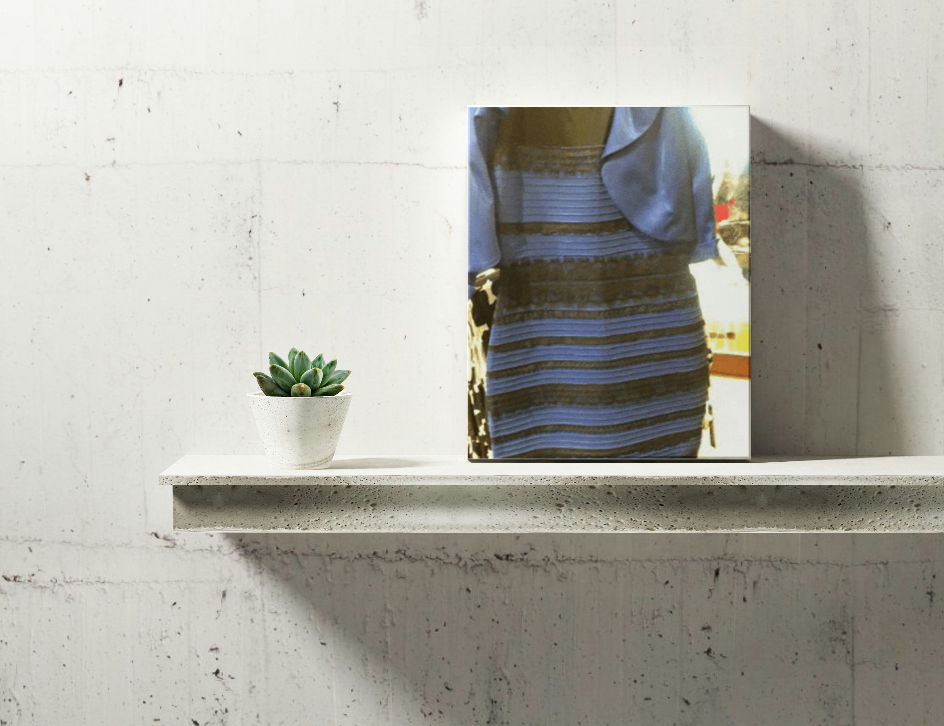 Memes on Canvas gallery image