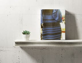 Memes on Canvas gallery image