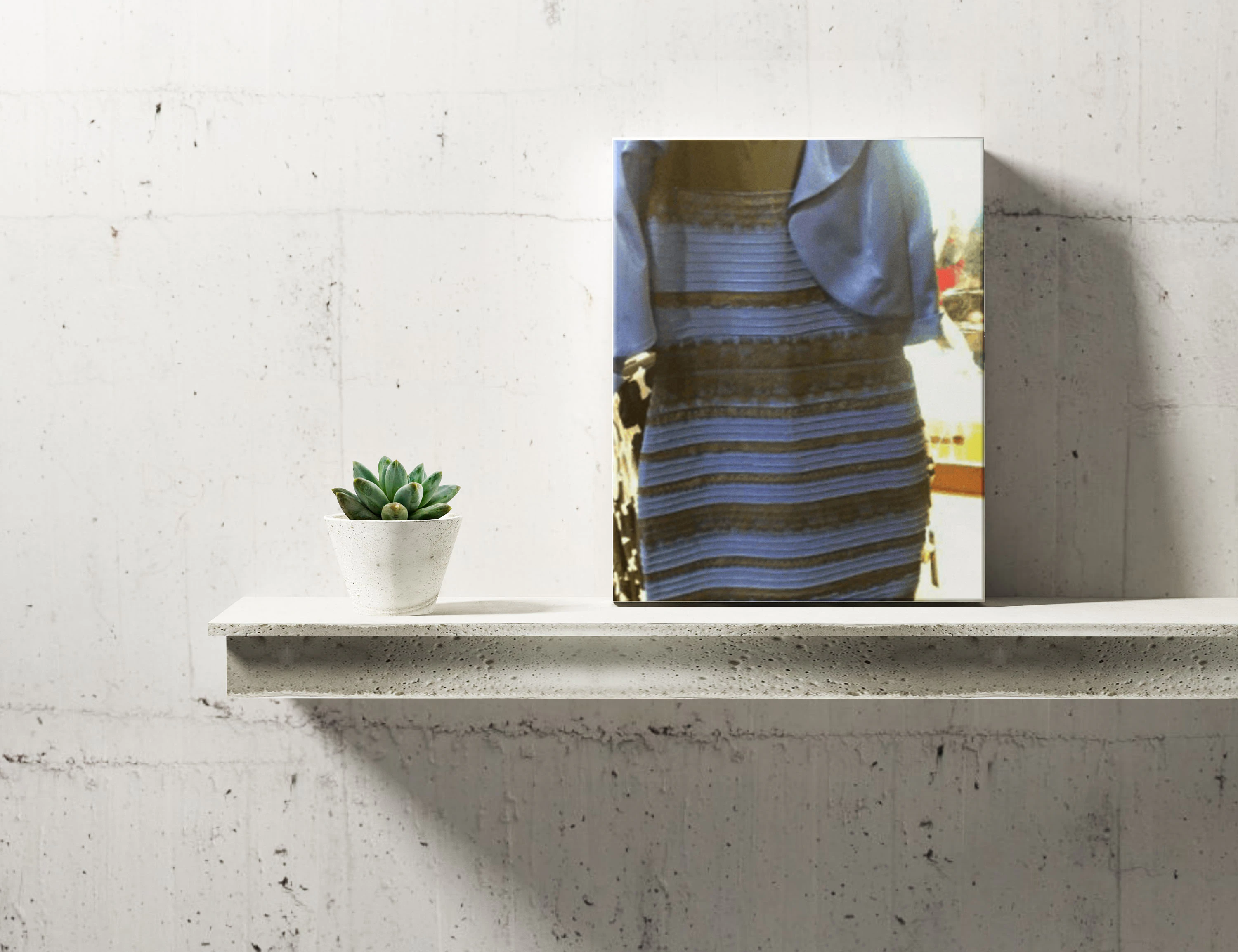 Memes on Canvas Image