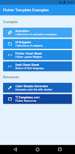 Flutter Template Examples gallery image