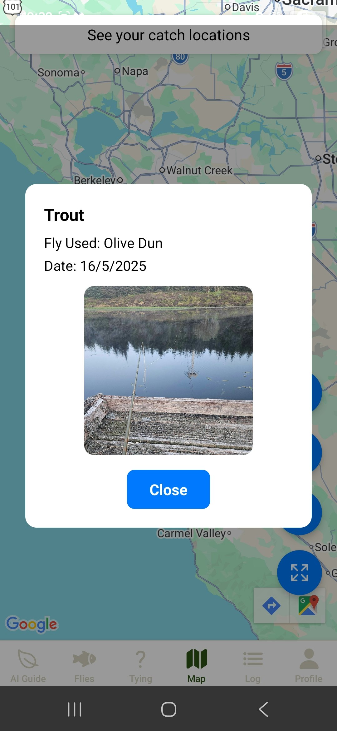 Hooked on Flies gallery image