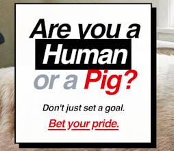 Pig-Tax gallery image