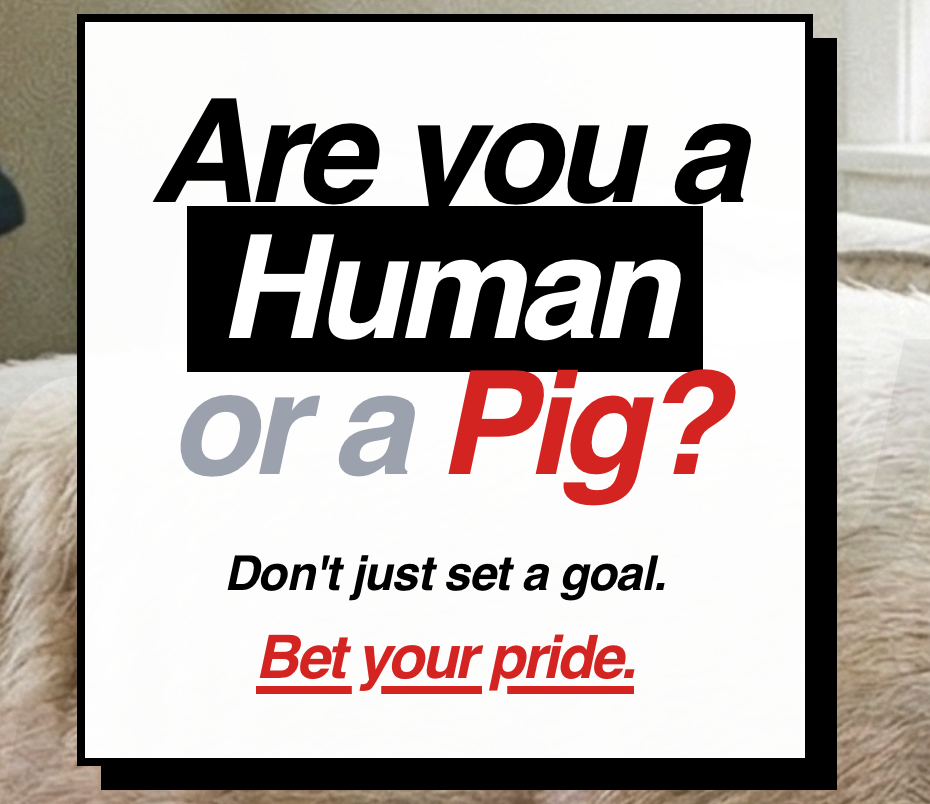 Pig-Tax - Main product screenshot demonstrating key features and user interface