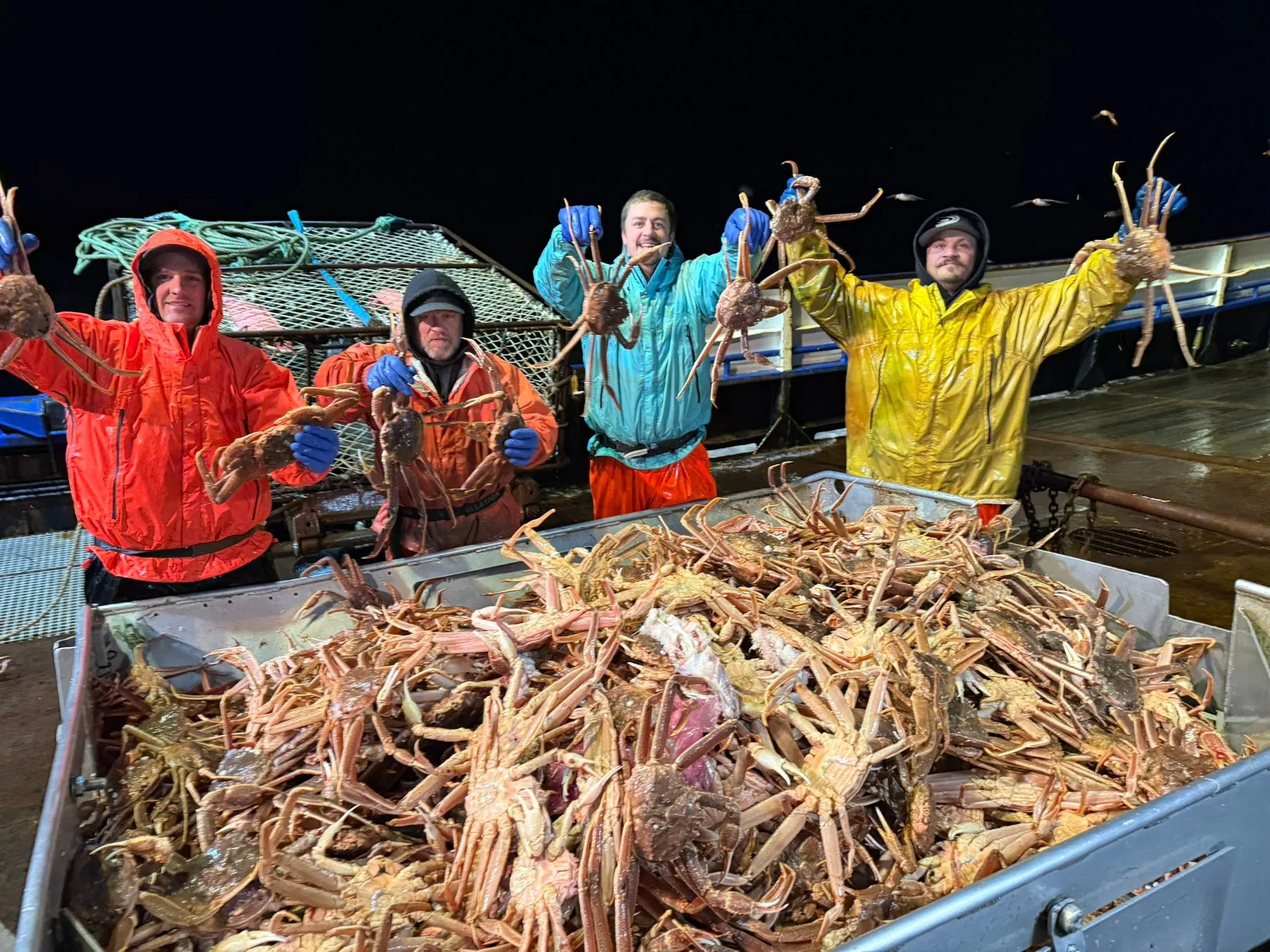 King Crab Premium Red King Crab Supplier gallery image